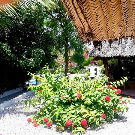Vanilla Villa Nungwi Exterior photo