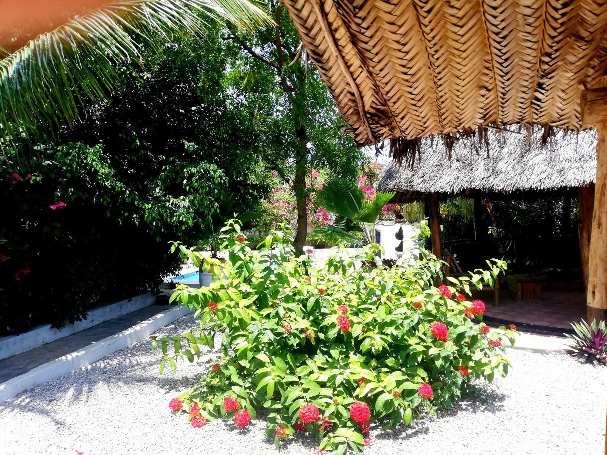 Vanilla Villa Nungwi Exterior photo